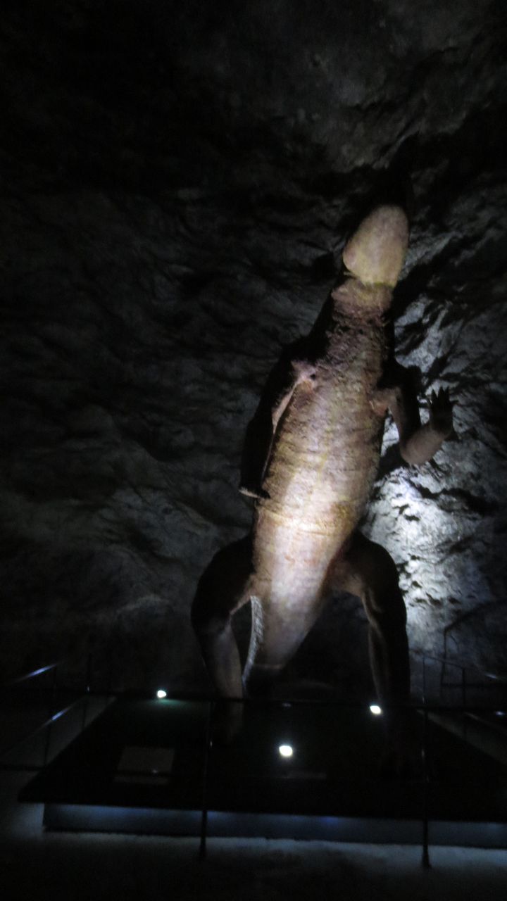 Salz_08.JPG