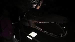 Salz_07.JPG Salz_07.JPG