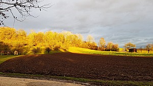 Waldweihnacht_18_027.jpg