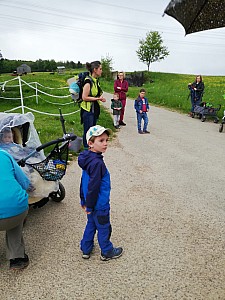 Maerchenwald_Mai_002.jpg Maerchenwald_Mai_002.jpg