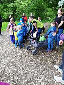 Maerchenwald_Mai_006.jpg Maerchenwald_Mai_006.jpg