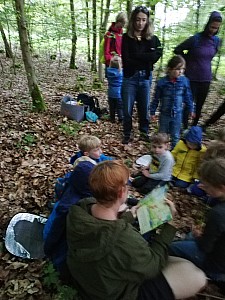 Maerchenwald_Mai_008.jpg Maerchenwald_Mai_008.jpg