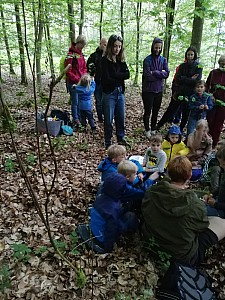 Maerchenwald_Mai_013.jpg Maerchenwald_Mai_013.jpg