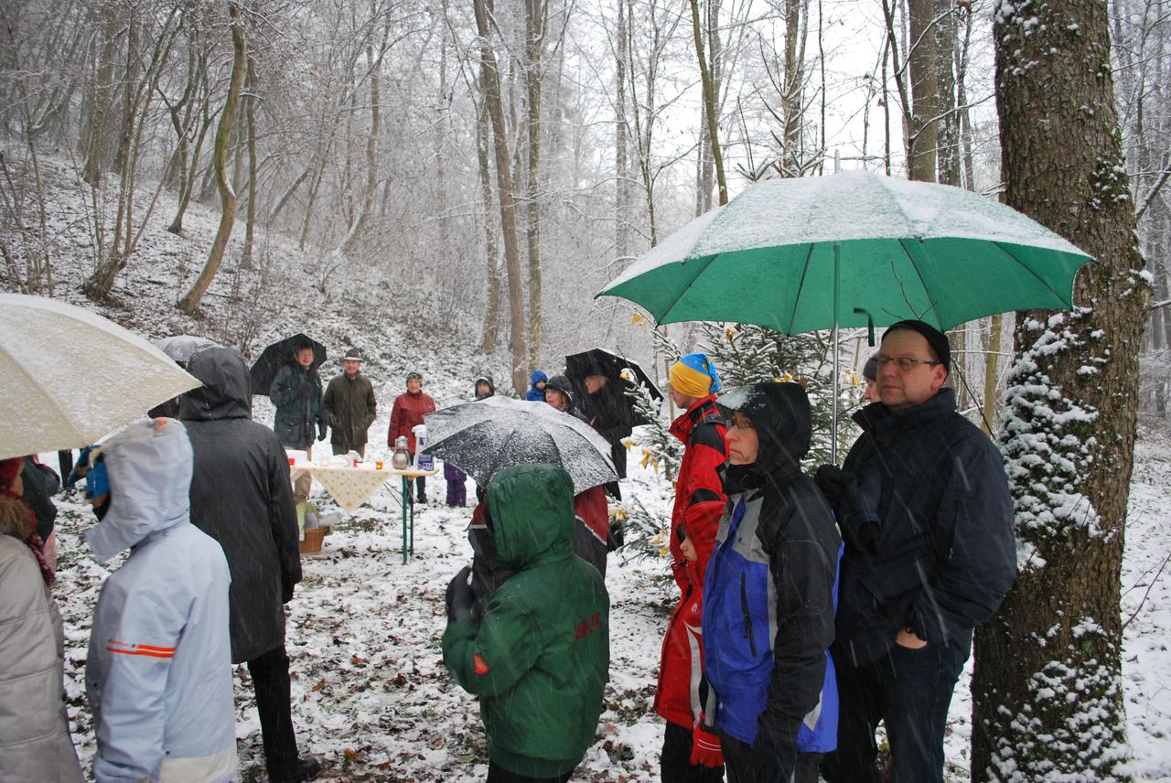 Waldweihnacht_Dez_2012 013.jpg