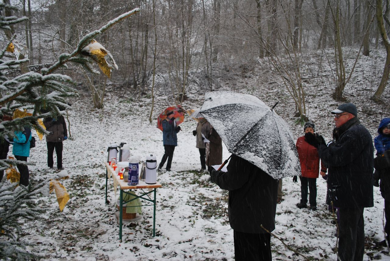 Waldweihnacht_Dez_2012 016.jpg