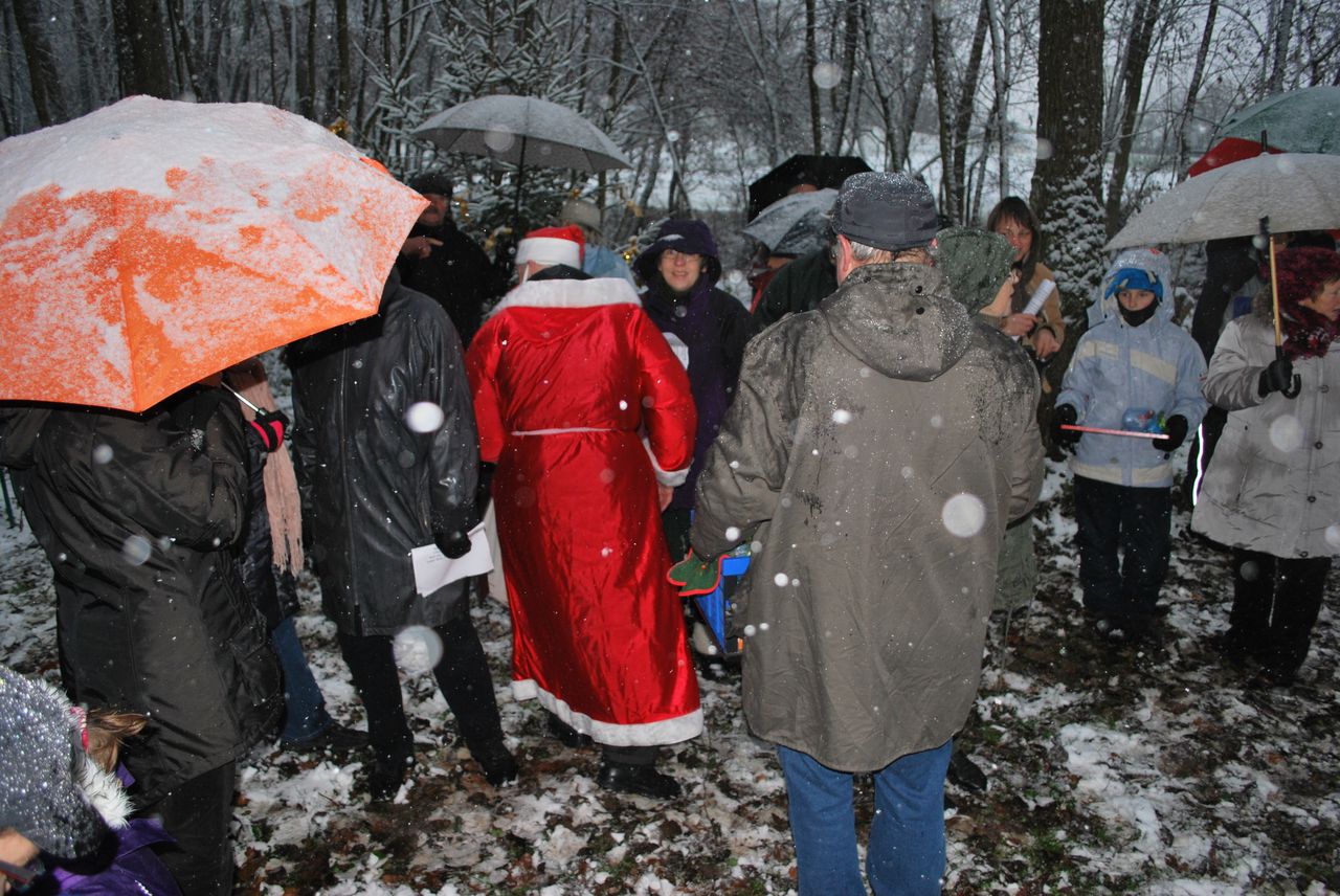 Waldweihnacht_Dez_2012 035.jpg