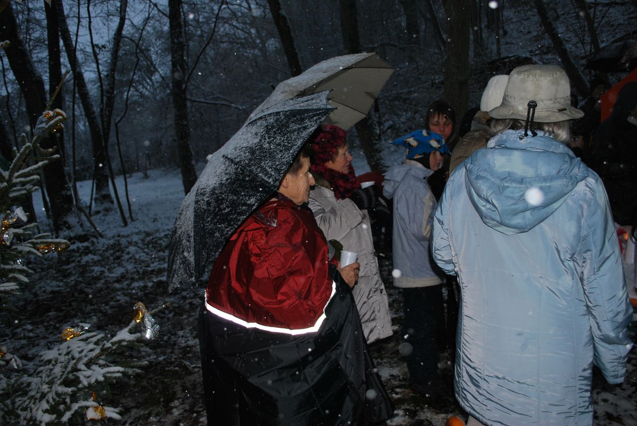 Waldweihnacht_Dez_2012 046.jpg