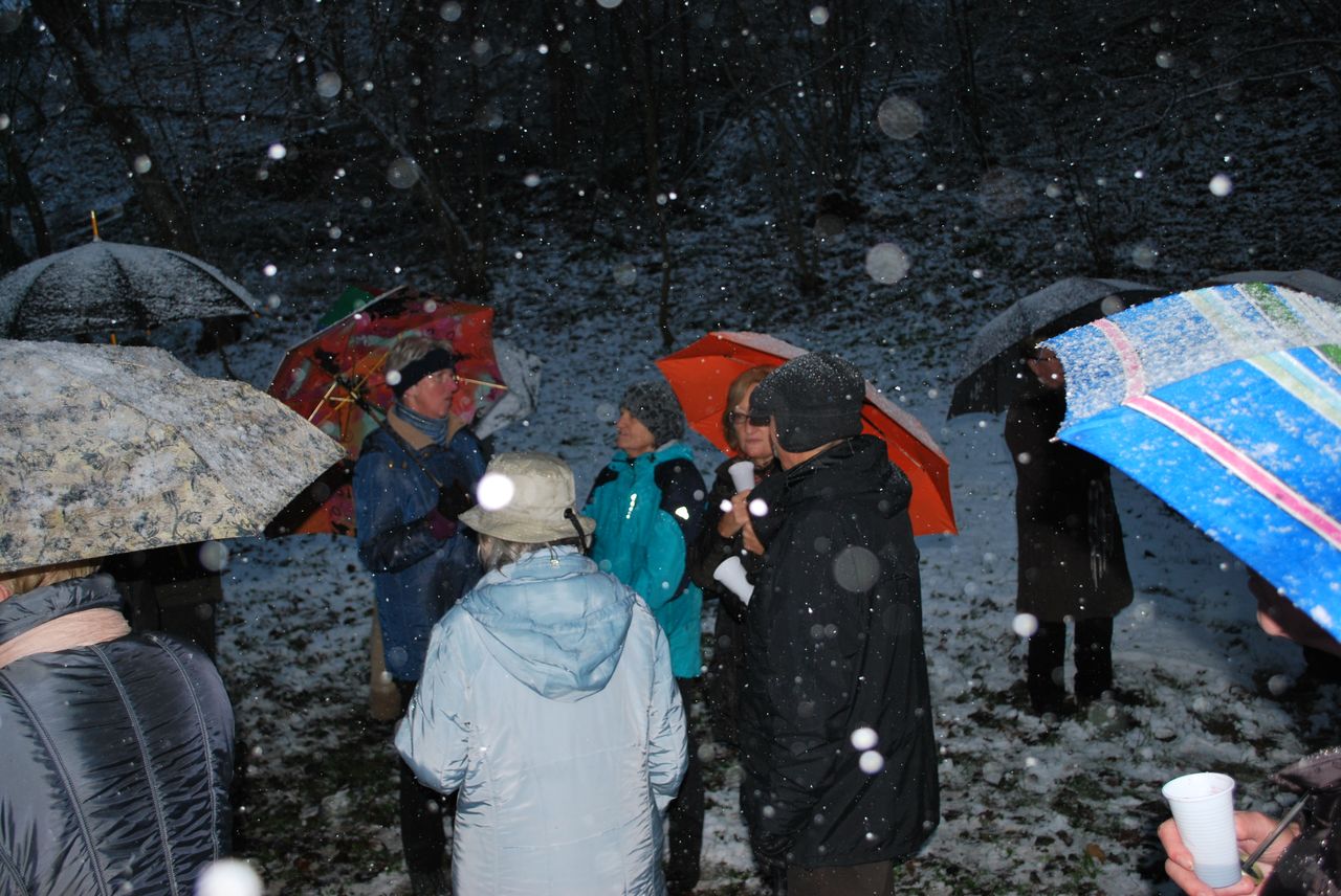 Waldweihnacht_Dez_2012 048.jpg