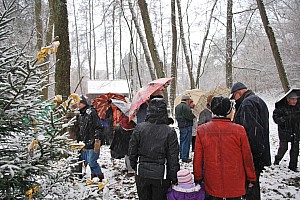 Waldweihnacht_Dez_2012 003.jpg