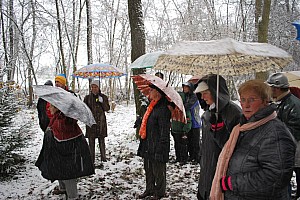 Waldweihnacht_Dez_2012 008.jpg