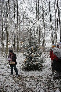 Waldweihnacht_Dez_2012 009.jpg