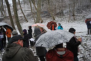 Waldweihnacht_Dez_2012 017.jpg