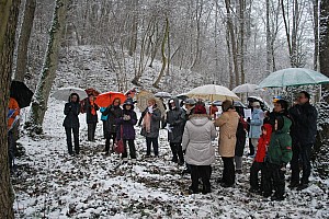 Waldweihnacht_Dez_2012 018.jpg