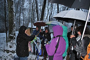 Waldweihnacht_Dez_2012 040.jpg