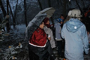 Waldweihnacht_Dez_2012 046.jpg