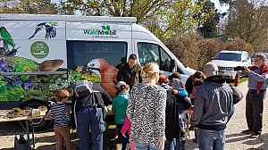 WanderTag-021.jpg WanderTag-021.jpg