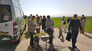 WanderTag-036.jpg WanderTag-036.jpg